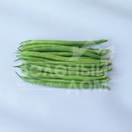 Семена гороха Вальверде / Valverde,70 дней купить оптом и в розницу в Украине по выгодной цене