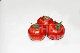 Семена томатов Дантина F1 / Dantina F1,105-115 дней купить оптом и в розницу в Украине по выгодной цене