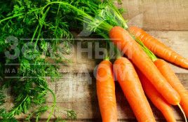 Насіння моркви Карділа / Kardila,120-130 днів купити оптом і в роздріб в Україні за вигідною ціною