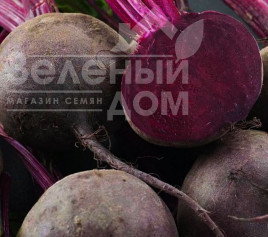Насіння буряка Детройт / Detroit,90-100 днів купити оптом і в роздріб в Україні за вигідною ціною