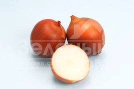 Лук репчатый Сталкер F1 / Stalker F1 (Премиум) купить оптом и в розницу в Украине по выгодной цене