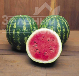 Насіння кавуна Кримсон Світ / Crimson Sweet,78 днів купити оптом і в роздріб в Україні за вигідною ціною