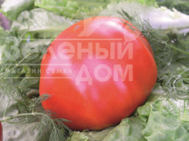 Насіння томатів Райська насолода / Ray'skoe naslazhdenie купити оптом і в роздріб в Україні за вигідною ціною