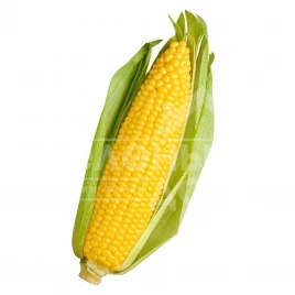 Семена кукурузы ГСС3071 F1 / GSS3071 F1 купить оптом и в розницу в Украине по выгодной цене