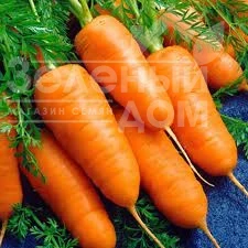 Насіння моркви Шантане Червоне Серце / Shantane Krasnoe Serdtse, 105-110 днів купити оптом і в роздріб в Україні за вигідною ціною