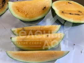 Семена арбуза Оранж Лакшери F1 / Orange Luxury F1, 70-73 дня купить оптом и в розницу в Украине по выгодной цене