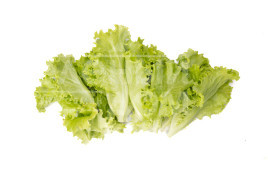 Насіння салату Афіліон / Aphylion купити оптом і в роздріб в Україні за вигідною ціною