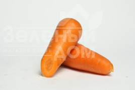 Насіння моркви Арго / Argo купити оптом і в роздріб в Україні за вигідною ціною