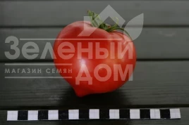 Семена томатов Амадин F1  / Amadin F1 купить оптом и в розницу в Украине по выгодной цене