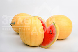 Насіння кавуна Золотий Вогник F1 (LS 1820) / Zolotoy Ogonjok F1  (LS 1820), 58-62 дні купити оптом і в роздріб в Україні за вигідною ціною