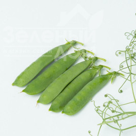 Насіння гороху Ідальго / Idalgo купити оптом і в роздріб в Україні за вигідною ціною