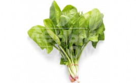 Насіння шпинату Сільвервейл F1 / Silverwhale F1 купити оптом і в роздріб в Україні за вигідною ціною