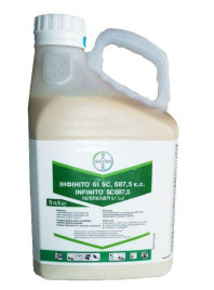 Фунгіциди Інфініто / Infinito, SC 687,5 к.с. купити оптом і в роздріб в Україні за вигідною ціною
