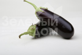 Насіння баклажанів Моріс F1 (LS 1322) / Moris F1 (LS 1322),83-87 днів купити оптом і в роздріб в Україні за вигідною ціною