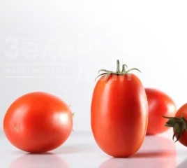 Семена томатов Куско F1 / Kusko F1, 72-78 дней купить оптом и в розницу в Украине по выгодной цене