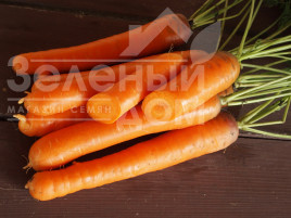Насіння моркви Беркос F1 / Berkos F1,120-125 днів купити оптом і в роздріб в Україні за вигідною ціною