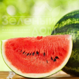 Насіння кавуна Есмеральда F1 / Esmeralda F1 купити оптом і в роздріб в Україні за вигідною ціною