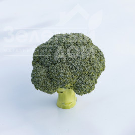 Насіння капусти броколі Бесті F1 / Besty F1,55-60 днів купити оптом і в роздріб в Україні за вигідною ціною