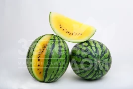 Семена арбуза Покемон (LS 1809) F1 / Pokemon (LS 1809) F1 купить оптом и в розницу в Украине по выгодной цене