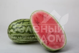 Семена арбуза ЛС 1551 F1 / LS 1551 F1,62-65 дней купить оптом и в розницу в Украине по выгодной цене