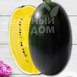 Насіння кавуна Шуга Єллоу F1 / Sugar Elloy F1 купити оптом і в роздріб в Україні за вигідною ціною