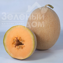 Насіння дині Трібека (КС 6147) F1 / Tribeka (KS 6147) F1,65-70 днів купити оптом і в роздріб в Україні за вигідною ціною