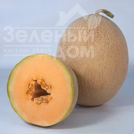 Насіння дині Трібека (КС 6147) F1 / Tribeka (KS 6147) F1,65-70 днів купити оптом і в роздріб в Україні за вигідною ціною