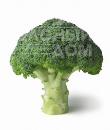 Насіння капусти броколі Агассі F1 / Agassi F1,65-75 днів купити оптом і в роздріб в Україні за вигідною ціною