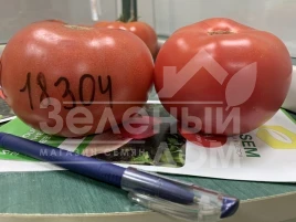 Семена томатов Розетт (ТЛ 18304) F1 / Rosett (TL 18304) F1 купить оптом и в розницу в Украине по выгодной цене