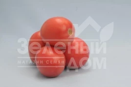 Семена томатов Камелот (LS 1264)  F1 / Kamelot (LS 1264)  F1,100 - 110 дней купить оптом и в розницу в Украине по выгодной цене