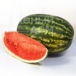 Насіння кавуна Шейні F1 / Sheyni F1,80-85 днів купити оптом і в роздріб в Україні за вигідною ціною