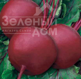 Насіння буряка Бікорес / Bikores купити оптом і в роздріб в Україні за вигідною ціною