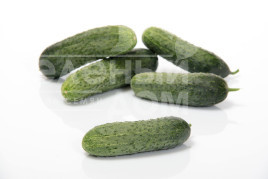 Насіння огірків Теслін F1 / Teslin F1, 30-35 днів купити оптом і в роздріб в Україні за вигідною ціною