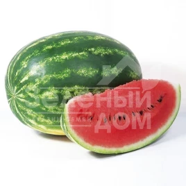 Семена арбуза Найси (КС 638) F1 / Naysi (KS 638) F1 купить оптом и в розницу в Украине по выгодной цене