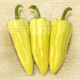 Насіння солодкого перцю Призма F1 / Prizma F1,120-125 днів купити оптом і в роздріб в Україні за вигідною ціною