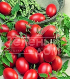 Семена томатов Блумко F1 / Blumko F1,100-110 дней купить оптом и в розницу в Украине по выгодной цене