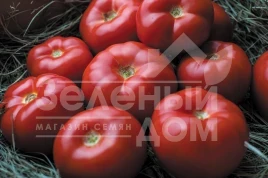 Семена томатов Гравитет F1 / Gravitet F1,95-100 дней купить оптом и в розницу в Украине по выгодной цене