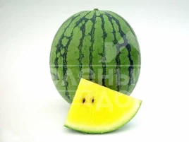 Семена арбуза Приморанж F1 / Primaorange F1 купить оптом и в розницу в Украине по выгодной цене