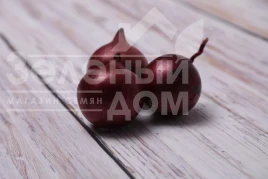 Насіння цибулі ріпчастої Тімур F1 (LS 5612) / Timur F1 (LS 5612) купити оптом і в роздріб в Україні за вигідною ціною