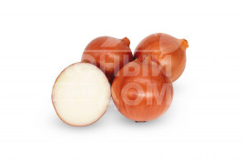 Цибуля ріпчаста Магіка F1 / Magica F1 купити оптом і в роздріб в Україні за вигідною ціною