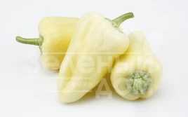 Семена сладкого перца ЦРХ 64011 F1 / CRX 64011 F1 купить оптом и в розницу в Украине по выгодной цене