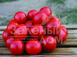 Семена томатов Солероссо F1 / Solerosso F1,90-95 дней купить оптом и в розницу в Украине по выгодной цене