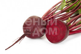 Насіння буряка Родіті F1 / Roditi F1, 105-110 днів купити оптом і в роздріб в Україні за вигідною ціною