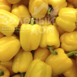Насіння солодкого перцю Оростар F1 / Orostar F1 купити оптом і в роздріб в Україні за вигідною ціною