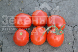 Насіння томатів Грандо F1 / Grando F1,95 днів купити оптом і в роздріб в Україні за вигідною ціною