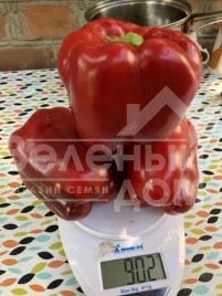 Семена сладкого перца 1601 F1 / 1601 F1,70 дней купить оптом и в розницу в Украине по выгодной цене