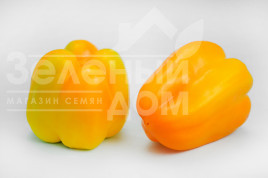 Насіння солодкого перцю Турмалін F1 / Turmalin F1,70-75 днів купити оптом і в роздріб в Україні за вигідною ціною