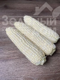 Насіння кукурудзи Вайт Туз F1 / White Tuz F1, 65-67 днів купити оптом і в роздріб в Україні за вигідною ціною
