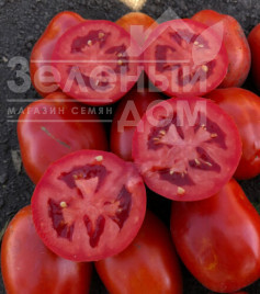 Насіння томатів 9985 F1 / 9985 F1, 120 днів купити оптом і в роздріб в Україні за вигідною ціною