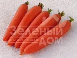 Семена моркови Цидера / Cidera,145-155 дней купить оптом и в розницу в Украине по выгодной цене
